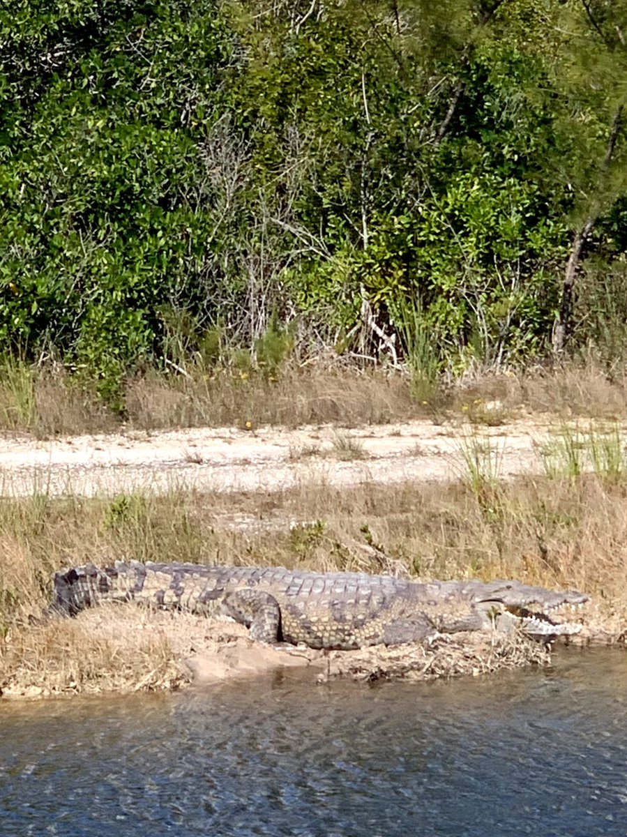 CycleHolics tweet media