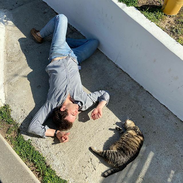 loppythecat's tweet photo. Who started it? #caturdayVibes #whosavedwho🐾 https://t.co/B1upft7djA https://t.co/wXNHcfa543
