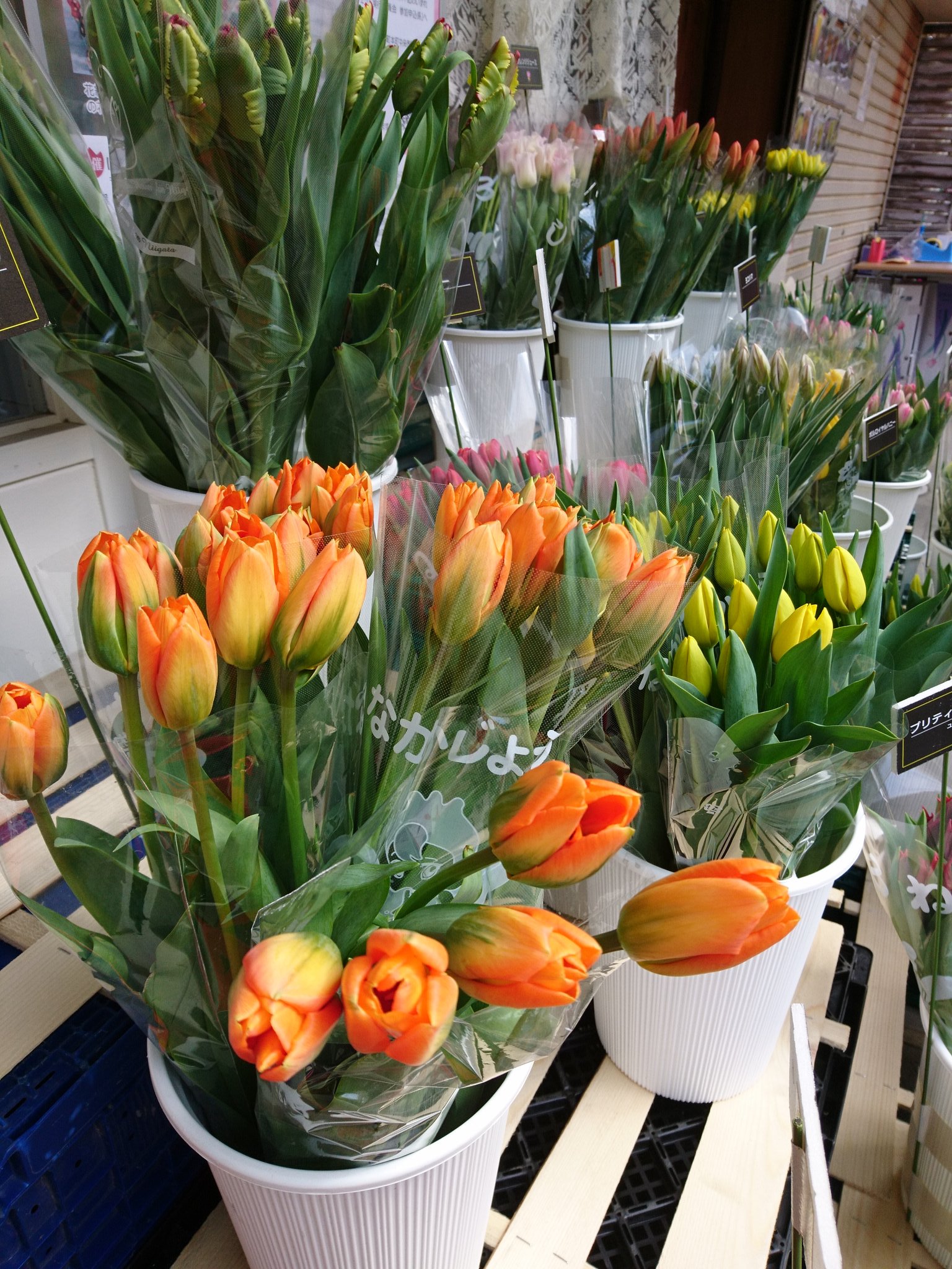 帆刈恵美子 色とりどりのかわいいチューリップ 日曜日だけの花屋さん どれにしようかさんざん迷いましたが三種類に決めました 決め手は色 形 将来性 活けるのが楽しみです Sundayだけのチューリップ花屋さん ディズニーランドパリ クラウン 帆刈恵美子 色とりどりのかわいいチューリップ 日曜日だけの花屋さん どれにしようかさんざん迷いましたが三種類に決めました 決め手は色 形 将来性 活けるのが楽しみです Sundayだけのチューリップ花屋さん ディズニーランドパリ クラウン