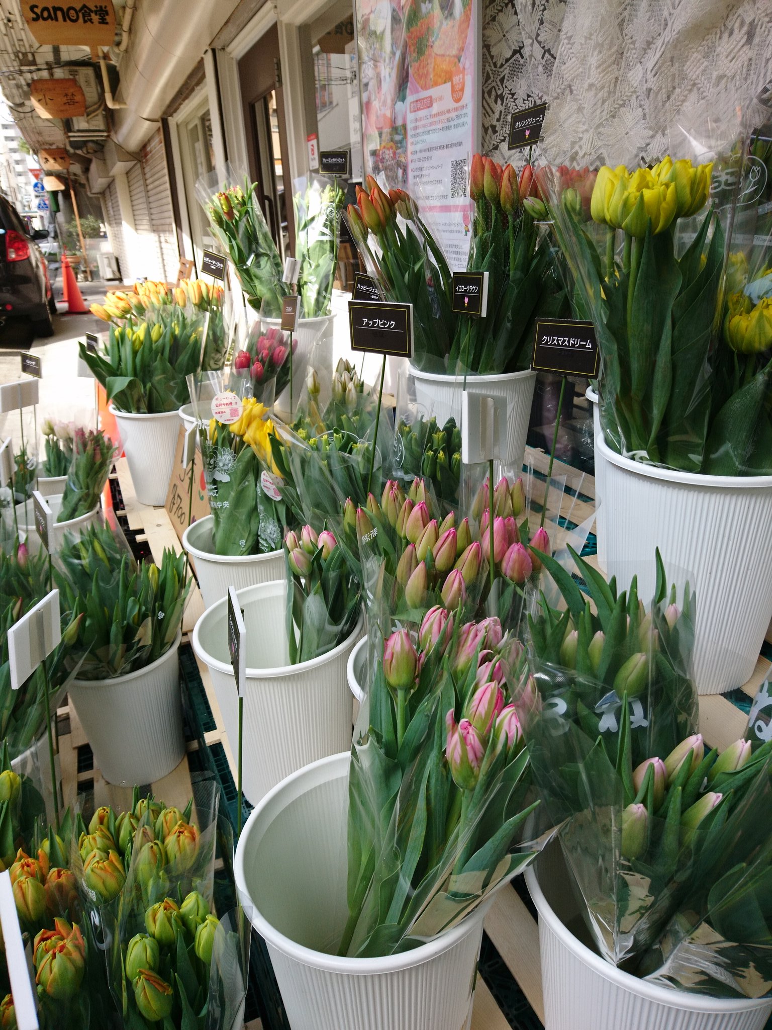 帆刈恵美子 色とりどりのかわいいチューリップ 日曜日だけの花屋さん どれにしようかさんざん迷いましたが三種類に決めました 決め手は色 形 将来性 活けるのが楽しみです Sundayだけのチューリップ花屋さん ディズニーランドパリ クラウン