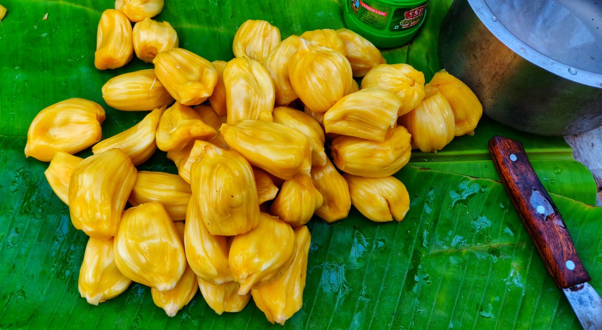 uday_birje's tweet photo. #JackFruit: Season has started. Most Delicious & Nutricious. High on #Vitamins, #Proteins, #NaturalFats. Healthiest among #Fruits. Grown in the #WesternGhats . Good for #Health https://t.co/xbtofLl2xH