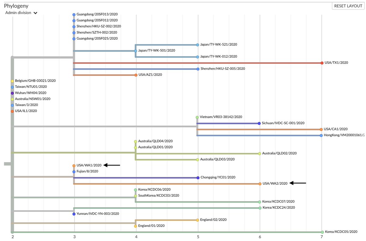 This case, WA2, is on a branch in the evolutionary tree that descends directly from WA1, the first reported case in the USA sampled Jan 19, also from Snohomish County, viewable here:  https://nextstrain.org/ncov?f_division=Washington 2/9