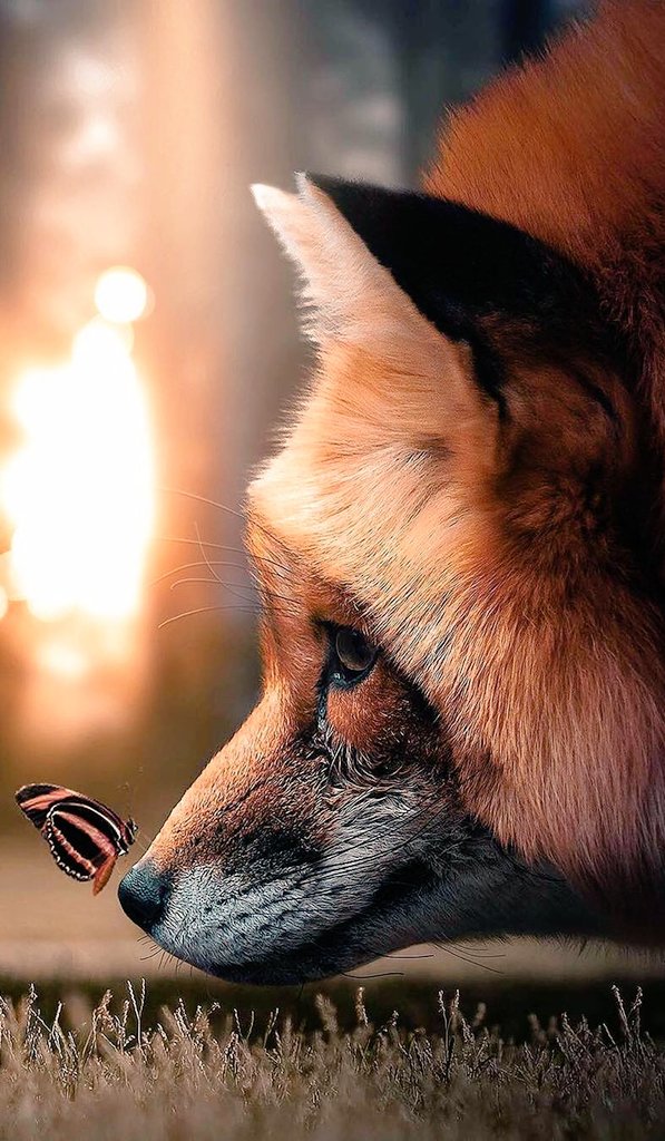 ......     MICHAEL ORTEGA     .......
                        LOVE
Cuando no importa nada más ...
youtu.be/uR9oa50hH5o