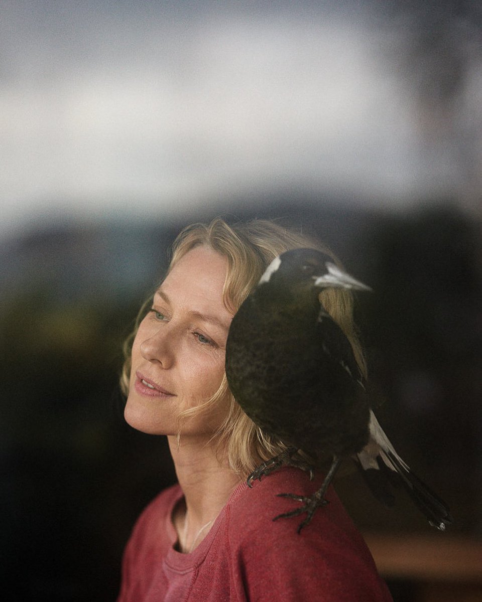 nwattsource's tweet image. 🎬| First look of Naomi Watts as Sam Bloom from Penguin Bloom