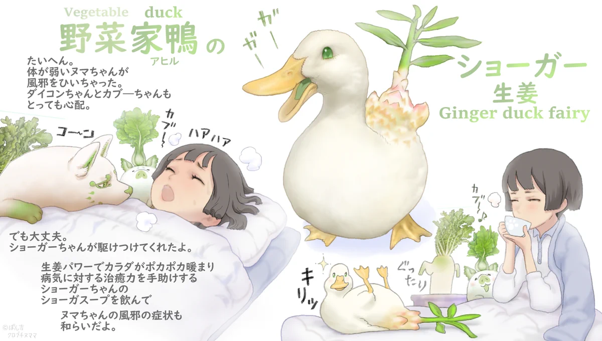 風邪ッ引きにこそ出番⁉その名も野菜家鴨の妖精　ショーガー‼