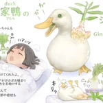 風邪ッ引きにこそ出番⁉その名も野菜家鴨の妖精　ショーガー‼