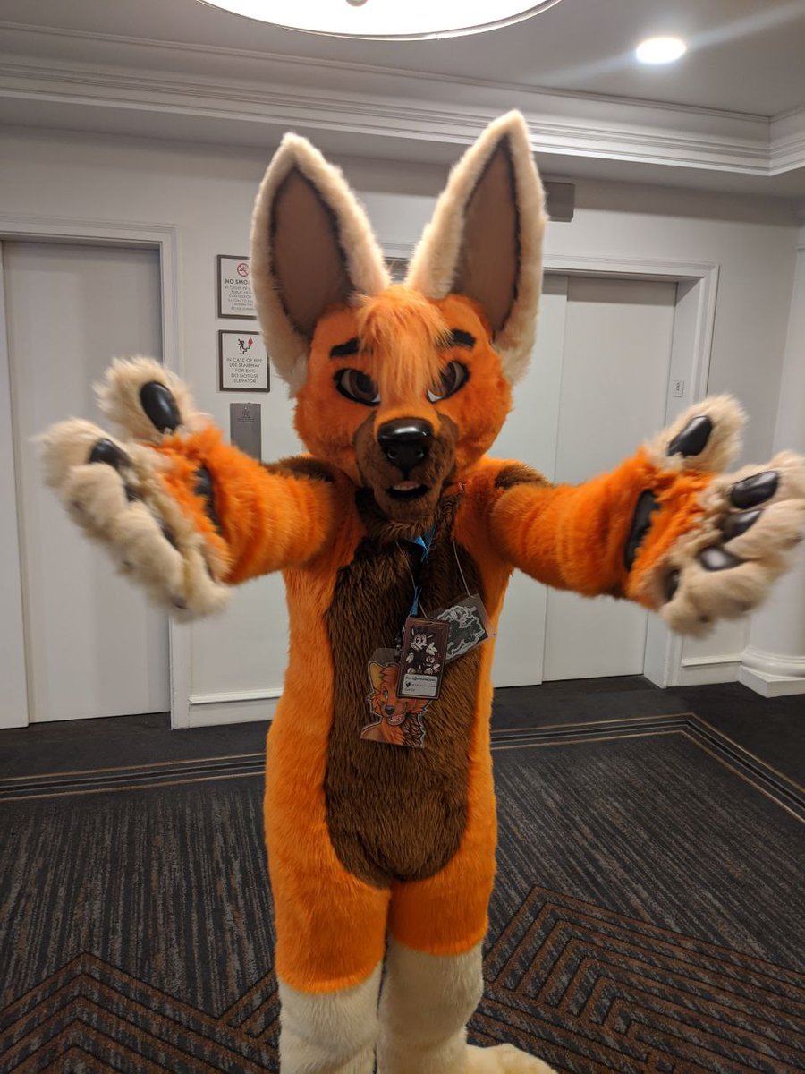 chronopaw's tweet photo. Free 🦊 hugs! https://t.co/S5wN3iQWPi