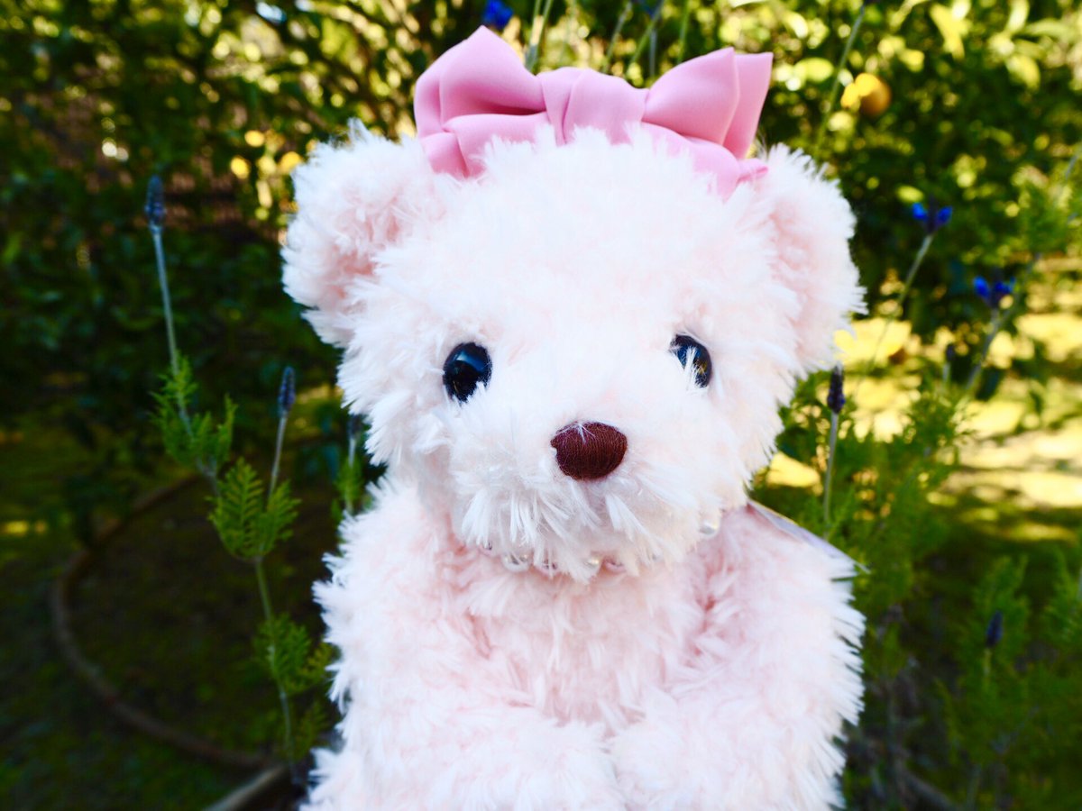 伊豆テディベア・ミュージアム【公式】 on X