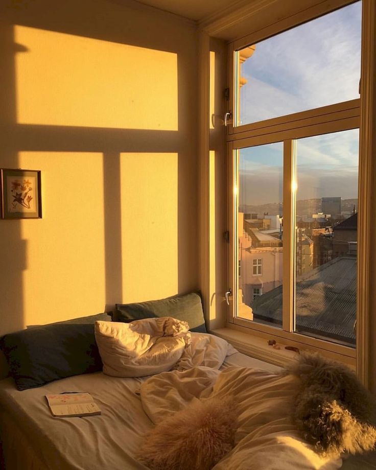 Яркое солнце светит в окна домов. Уютный вид из окна. Красивый вид из окна. Комната с окном. Уютная комната.