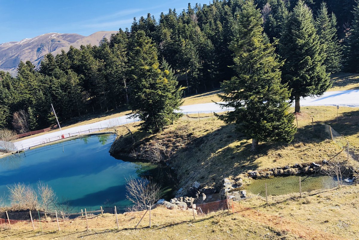 Like gelé 
<a href="/LnBuchoul/">Ln Buchoul</a> <a href="/etienne_cdl/">Étienne Cdl / &c. 👁️‍🗨️</a> 
#ironème.