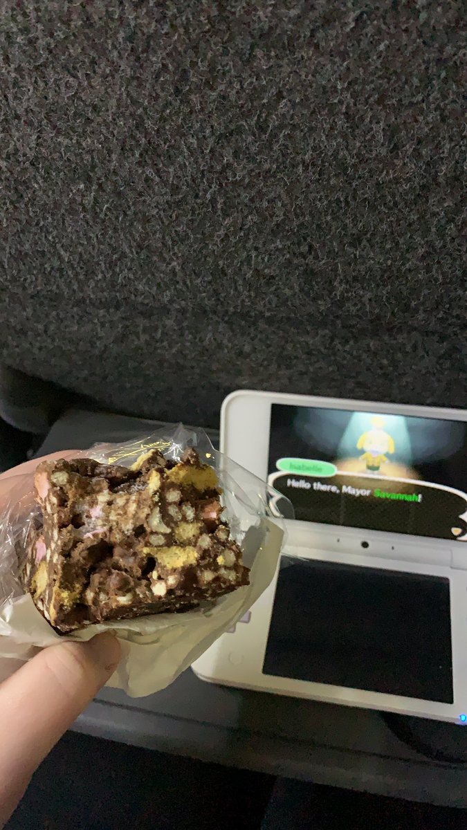 _AnxiousUnicorn's tweet photo. I cannot feel my arse. But at least I have rocky road and Animal Crossing to keep me company on this stuffy-ass coach 🙃 https://t.co/2gH9Mqc0XJ
