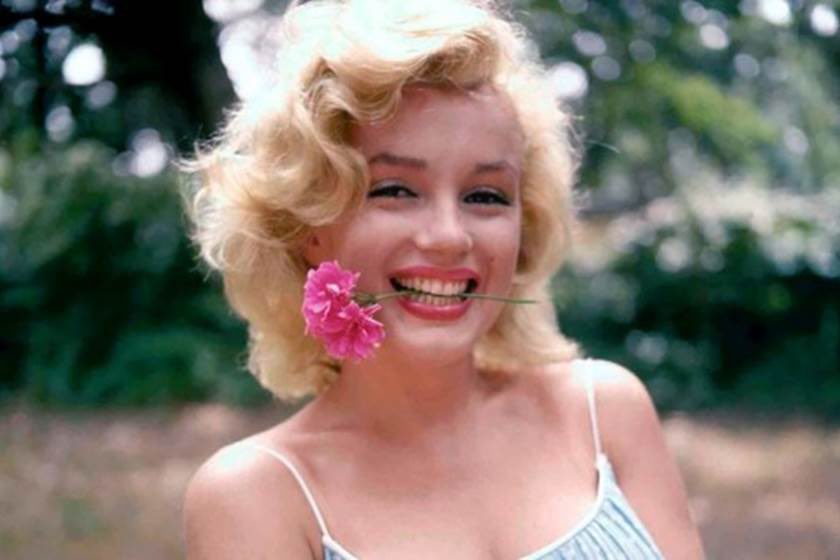 اغتراب🕊 tweet media