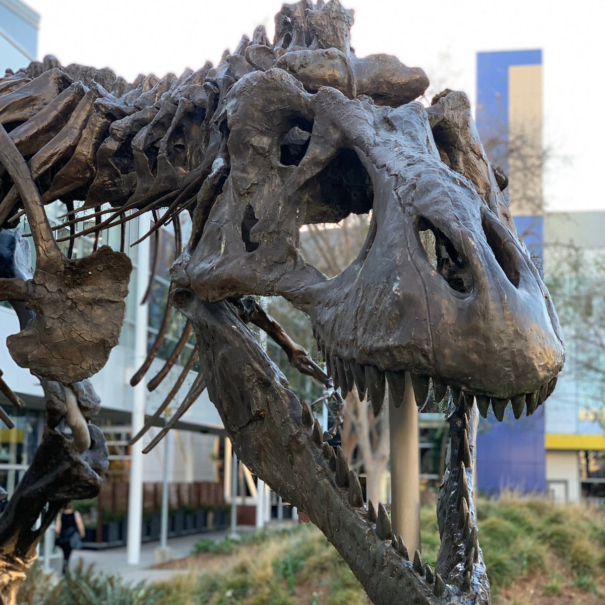 Frédéric Gaye tweet media