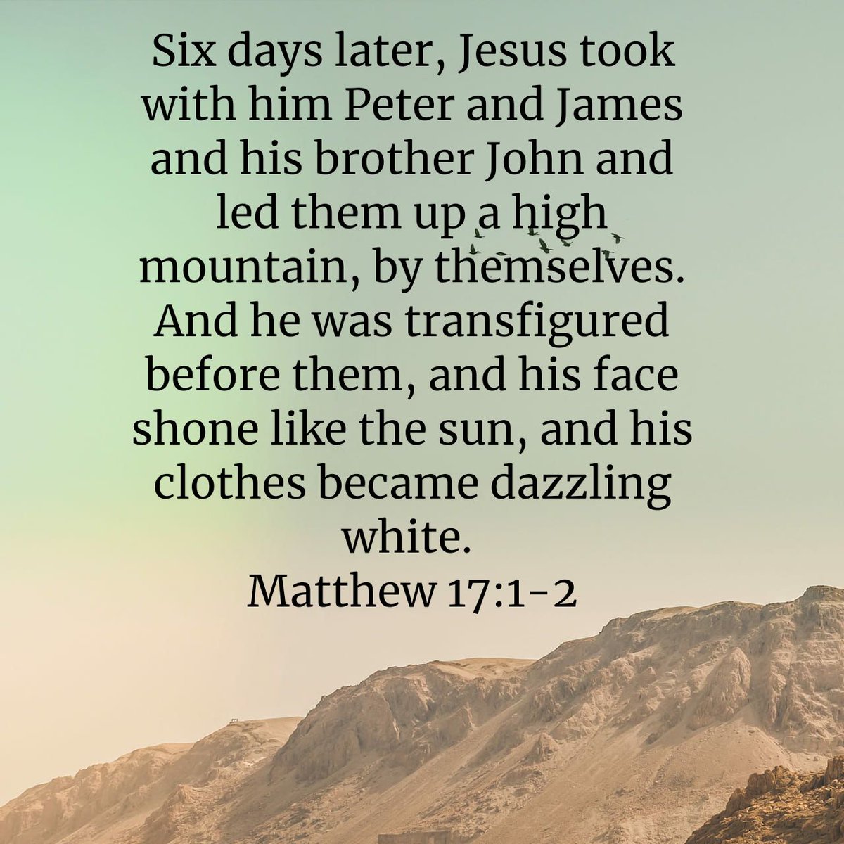 hollyjoengle's tweet photo. Join us tomorrow morning at #FirstChristianChurch in #Blytheville as we look into Matthew 17:1-9. 

Sunday School-9:30 
Worship-10:30 

#DisciplesofChrist #Allarewelcome #ALLmeansALL https://t.co/QHYq3Imjni