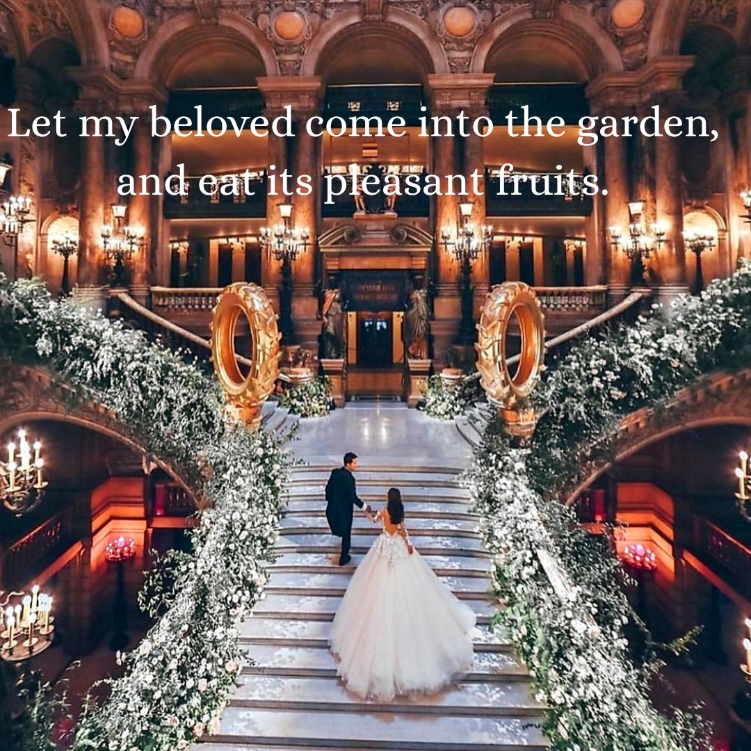 JeroSeelan's tweet photo. Just 48 hours to go..!!
#MJwedding #Feb24 #MJ https://t.co/qdEWnXJw9w