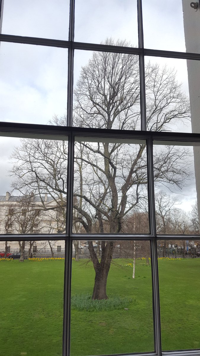 rustytrowelarch's tweet image. Final run throughs of the podcast taking place earlier today and this was the view from the rehearsal room 💚🌳🌿

#therustytrowel #archaeology #archaeologyblog #archaeologypodcast #blog #blogger #podcast #finalrunthrough #rehearsal #nature #tree #therustytrowelpodcast