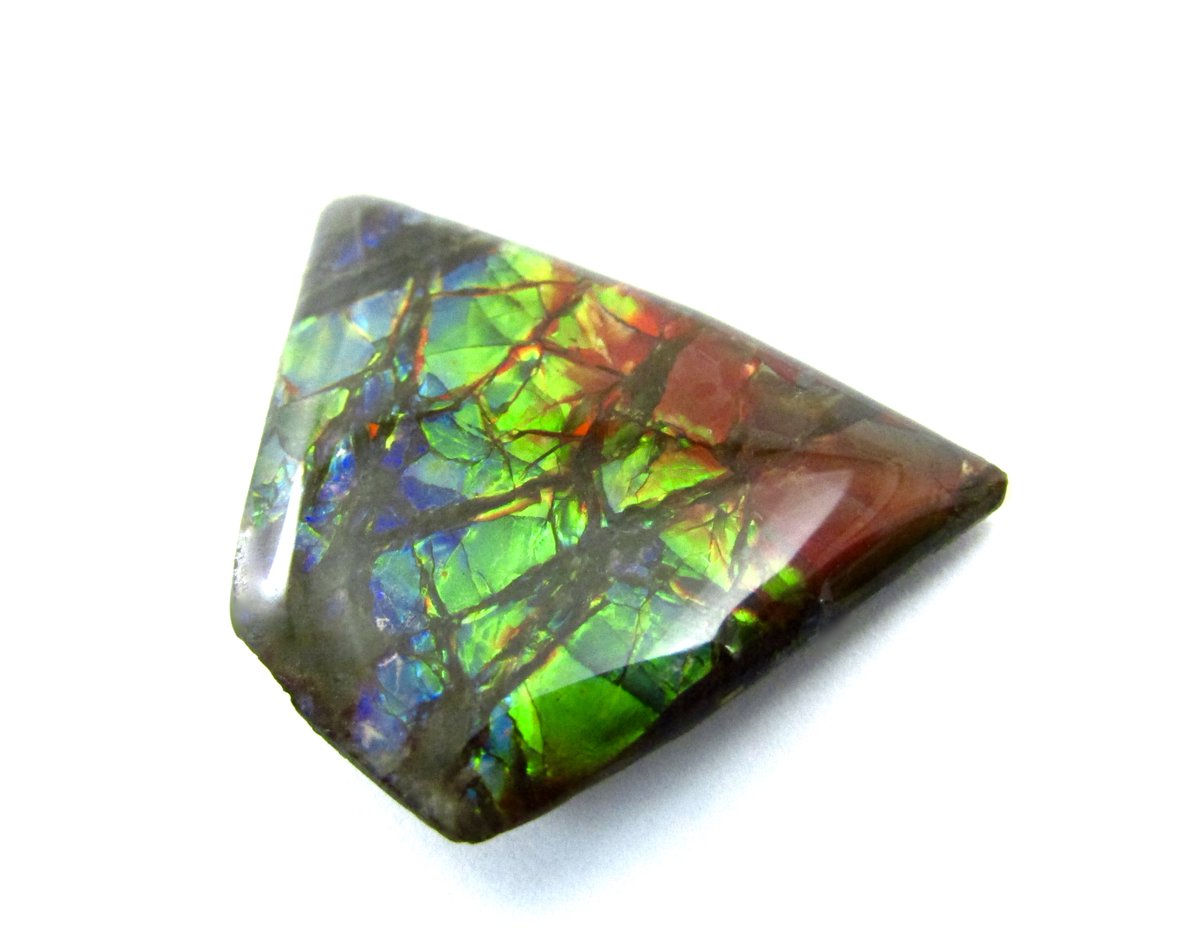Check out this gorgeous Ammolite piece! Come visit our website or our shop. #ammonitefossil #ammolite
