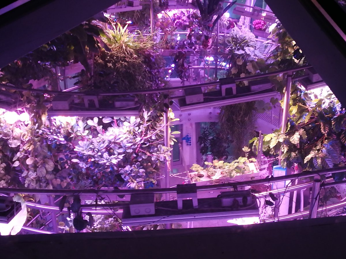 бесконечный объёба tweet media