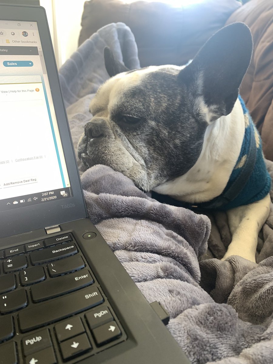 raleyjoellen's tweet photo. Doing a little work yesterday with my best bud @FrenchieSlider FrenchieSlider 😍😍 @_TeeRay https://t.co/c4Mapa4HQ3