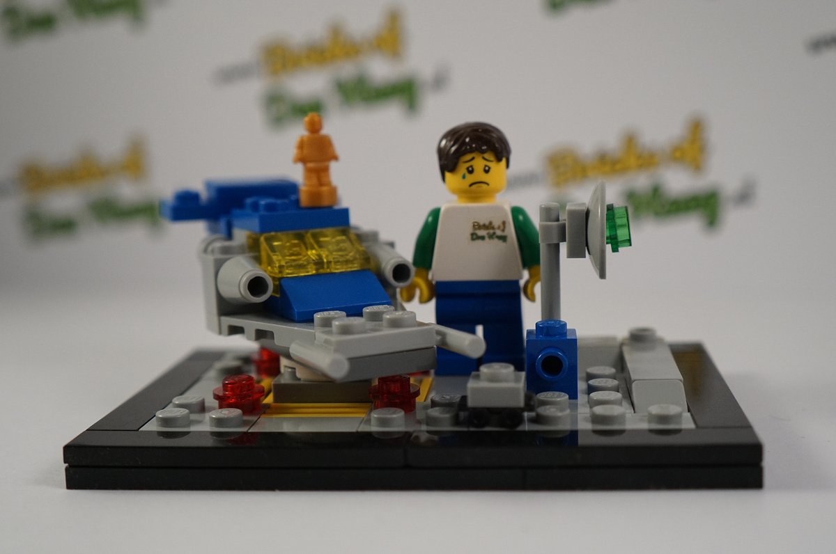 BricksofDenHaag tweet picture