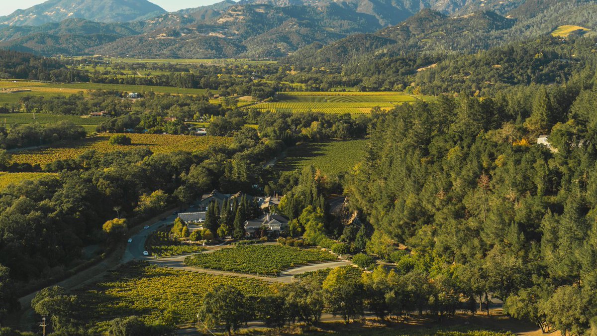 At only 30 miles long &amp; 5 miles wide the Napa Valley is one of the smallest yet most diverse AVA's in the world. In honor of #NationalCaliforniaDay we are celebrating the natural beauty and wines that come out of the #NapaValley!