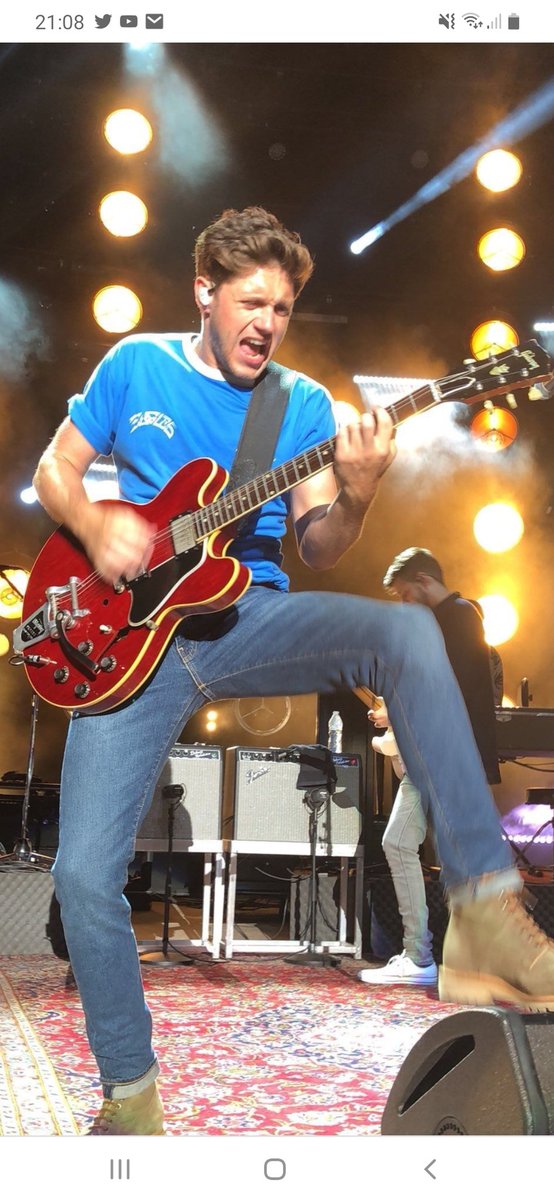 Neweraputh's tweet image. I'm voting for #Niallers #BestFanArmy #iHeartAwards