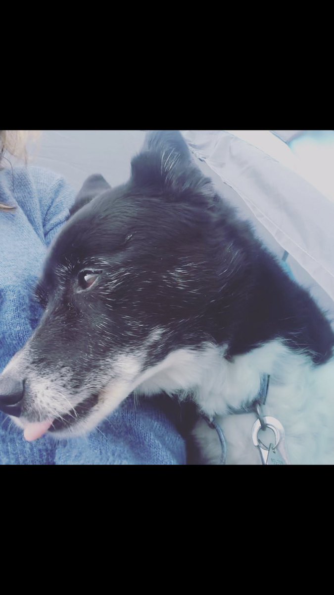 Forever 💕💔💕