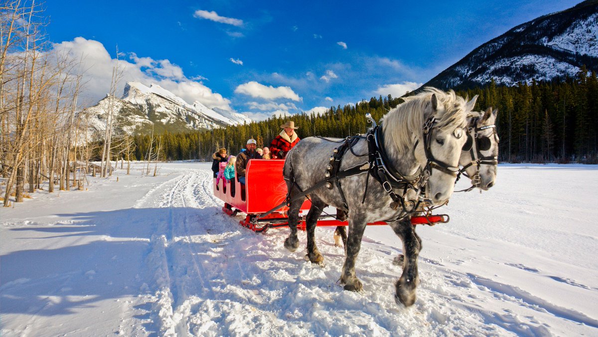 Ready to go dashing through the snow? Sleigh rides are a truly unique way to take in the Rockies and perfect for the littlies. Sit back and relax on either a western style sleigh or cuddle up in a cozy 2 cutter open sleigh. bit.ly/2ZQYuVt