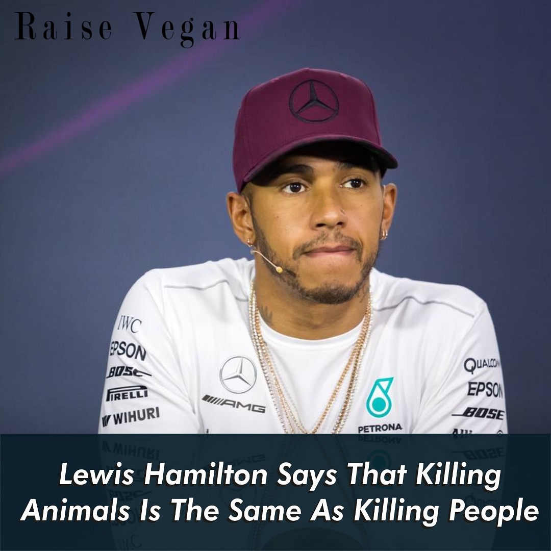 Article by <a href="/RaiseVegan/">Raise Vegan, Inc.</a>

<a href="/F1/">Formula 1</a> racing driver <a href="/LewisHamilton/">Lewis Hamilton</a> has urged his fans to go vegan — explaining that there is no difference between killing animals and killing people.

#F1 #Vegan #PlantBased #CrueltyFree #MeatFree #Formula1 #LewisHamilton