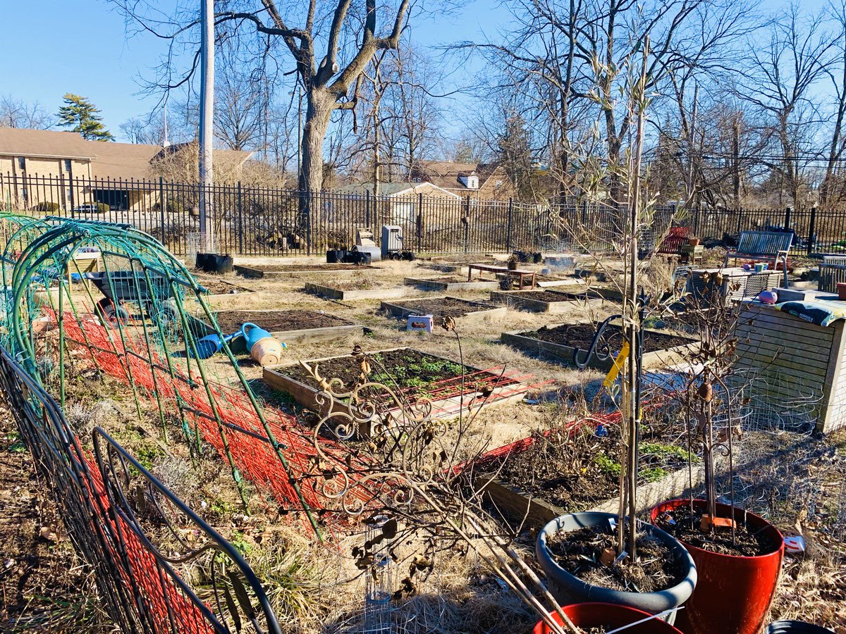 joshuajosephmd's tweet photo. CMN Memorial Garden https://t.co/Kk6EnmTWzw excellent collaboration of agriculture, food, engineering, community engagement, STEM 2 STEAM &amp; Summer Camp Farmbots! @WriteToFarm @OhioStateInFact 
Tim McDermott @OSUEFranklin
@nationwidekids Dr. Khalsa
@iCBL_Lab @OhioState @CFAES_OSU https://t.co/YgFP3RhA2L