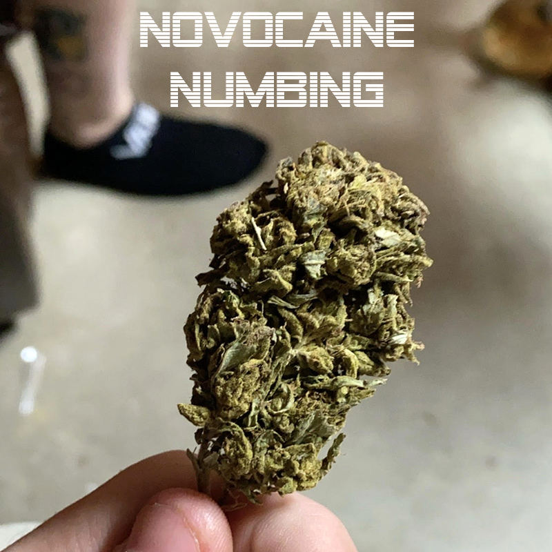 NeefProductions tweet picture