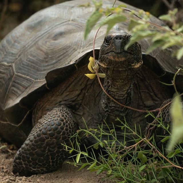 Dan Rice tweet media