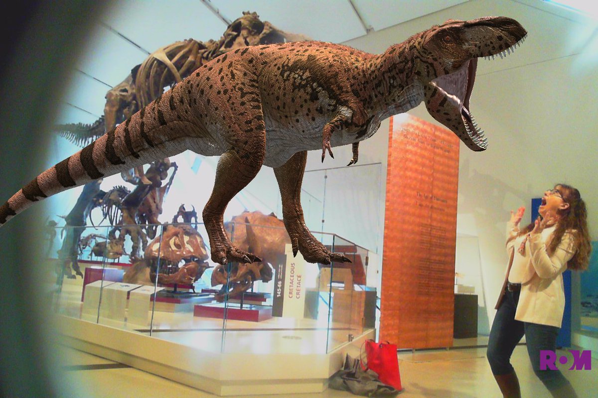 Cruiserk's tweet photo. Not sure who had the better scream... #ROMtrex https://t.co/eLz21Wev3r