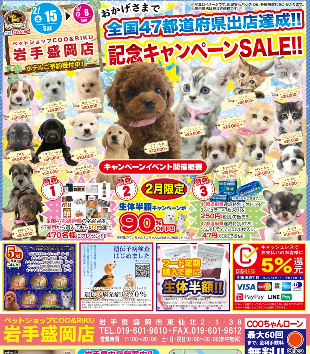 Chicoli07's tweet photo. 微塵の愛も感じない売り方ですね。
C&amp;Rです。
現行法で取り締まれないもののひとつです。
でも、遺伝子病発症リスク０%って誇大広告って感じるのですが... https://t.co/R7Ul3Q27Tl
