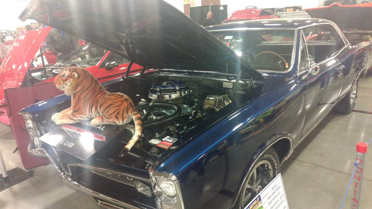 unattributedcc's tweet image. My idea of a #Caturday Post.  😁