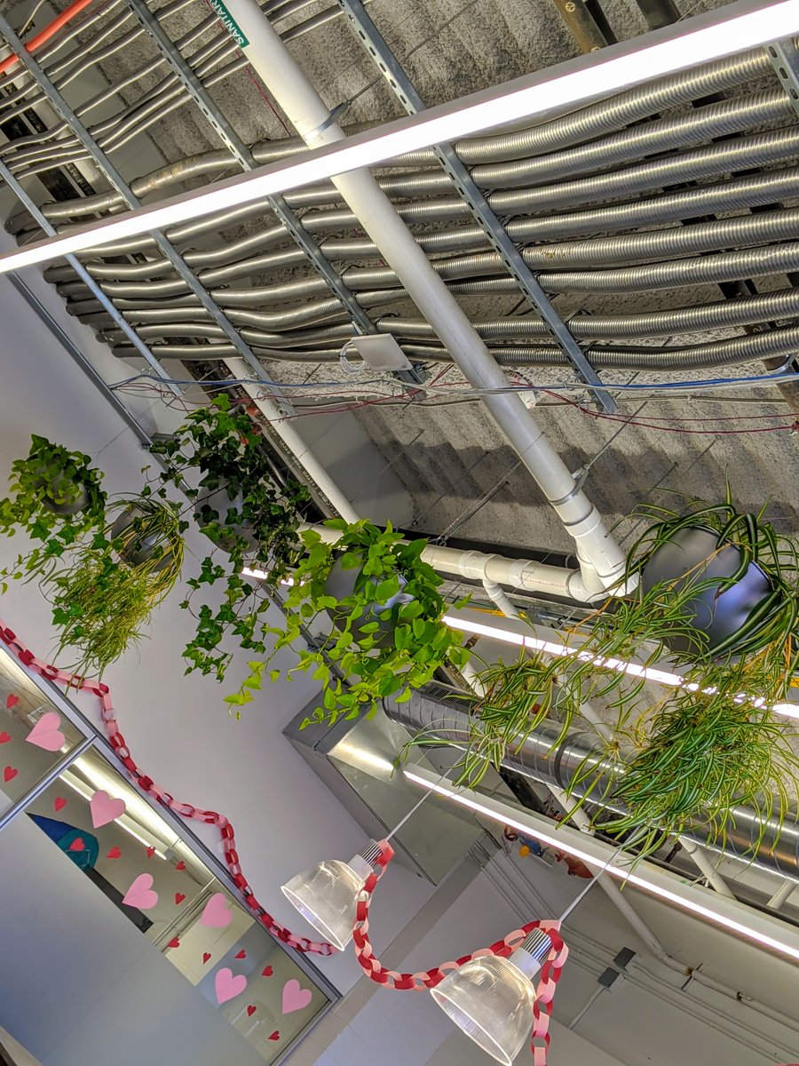 StartWithBuild's tweet image. We can credit our beautiful office plants to Planterra! They keep our plants green and healthy. #StartWithBuild