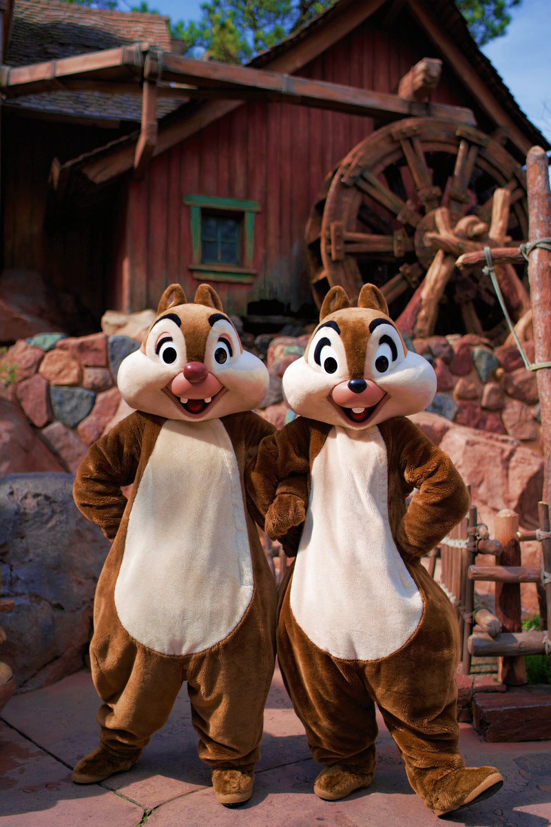 ট ইট র グリーティング হ য শট য গ