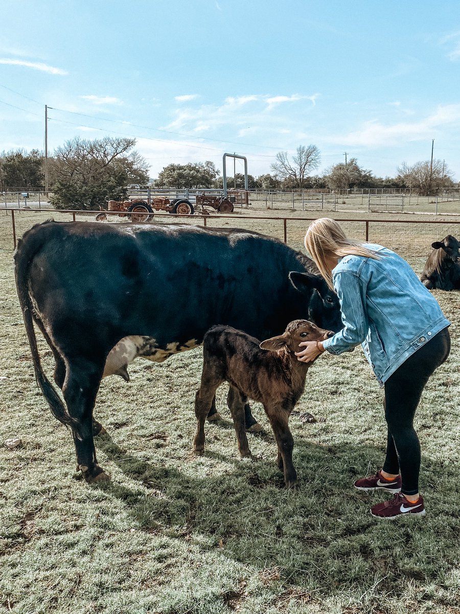 gracebennett__'s tweet photo. these cuties have my whole heart https://t.co/IBKMBUGHs1