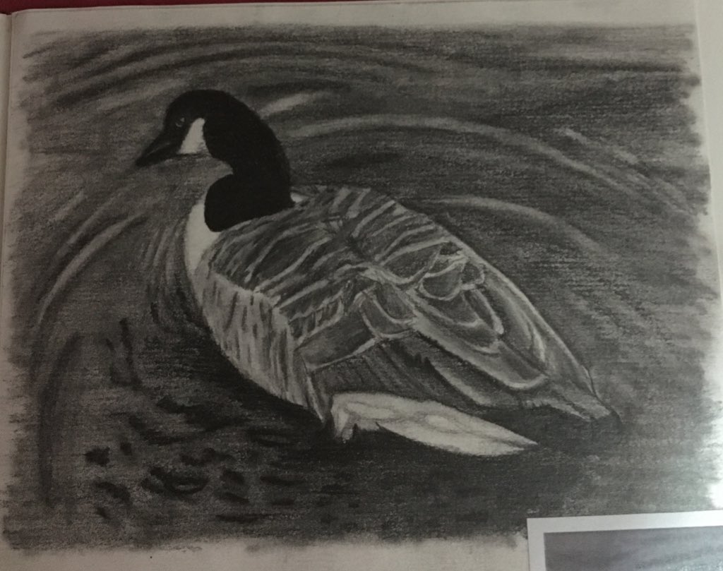 TMorgan_mx's tweet photo. It’s been a while but I’ve been busy on two new art pieces 😀 one is in pencil and the other in watercolour paints. They’re messy as I’m still improving everyday, but I’m proud of them none the less 
#art #duck #axolotl #artist #youngartist #drawing #painting #watercolour #water https://t.co/EwkXodiwmy