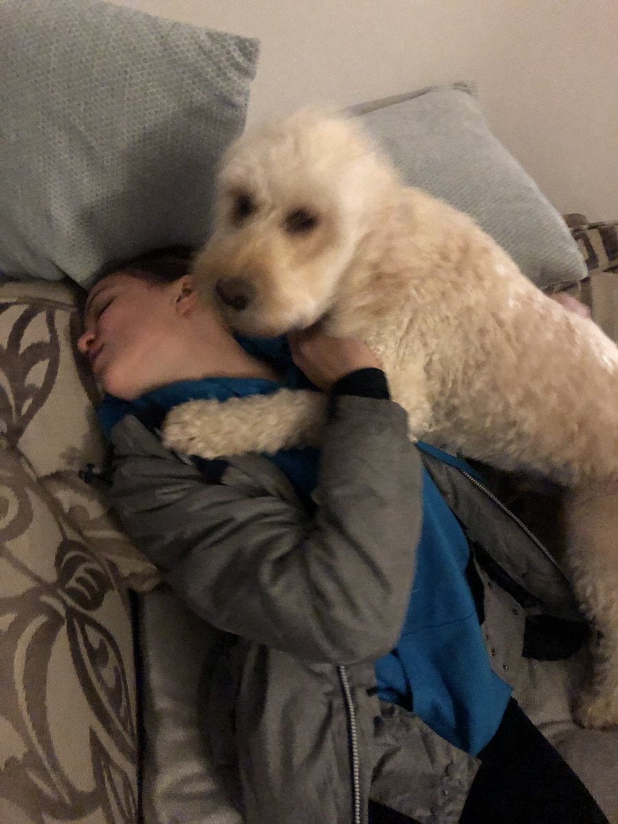 ClaireDDDD's tweet photo. @Redhill_Trips even the dog was glad to have her home! 💕 https://t.co/uV12oJkjAQ