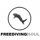 TheNextDive's tweet image. Welcome Freediving Soul thenextdive.com/centers/12326/… #freediving #welcome