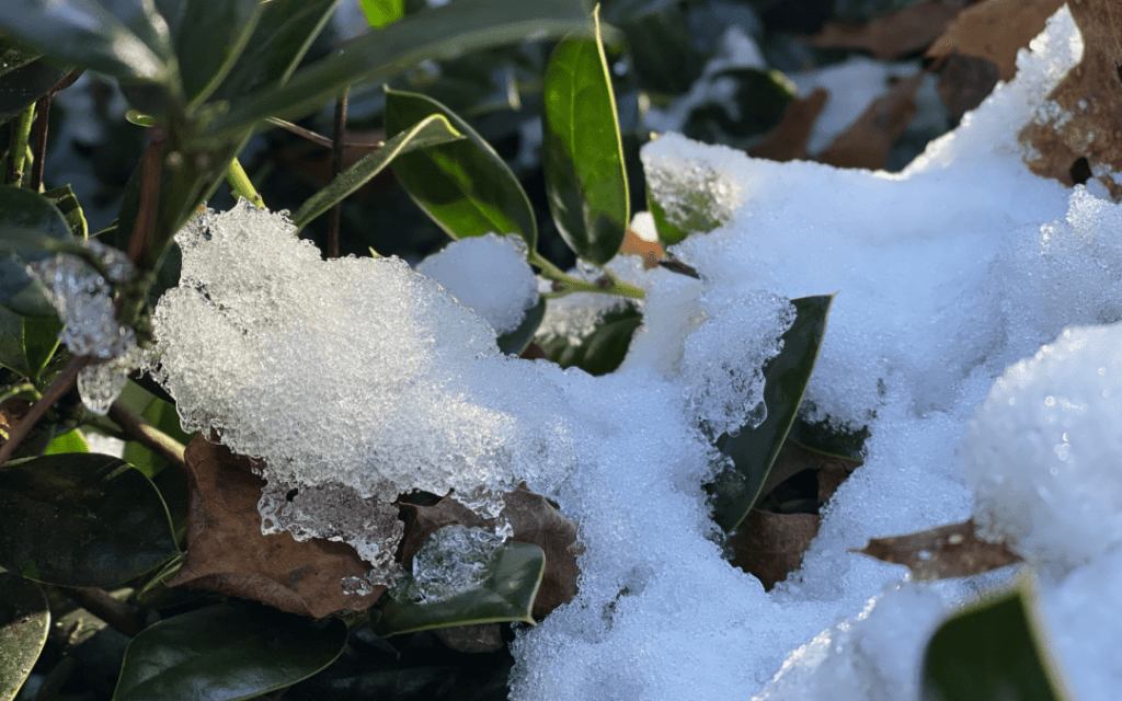 edgesofdreaming's tweet photo. Put on your winter coats! This episode of Edges of Dreaming explores the cold in its various forms — cold air, cold moon, ice, and snow. Stoke up the hearth fire, grab blankets, cook up some cocoa and join us for "Cold" on… https://t.co/FlKffZWdQl https://t.co/JfAilsASKt