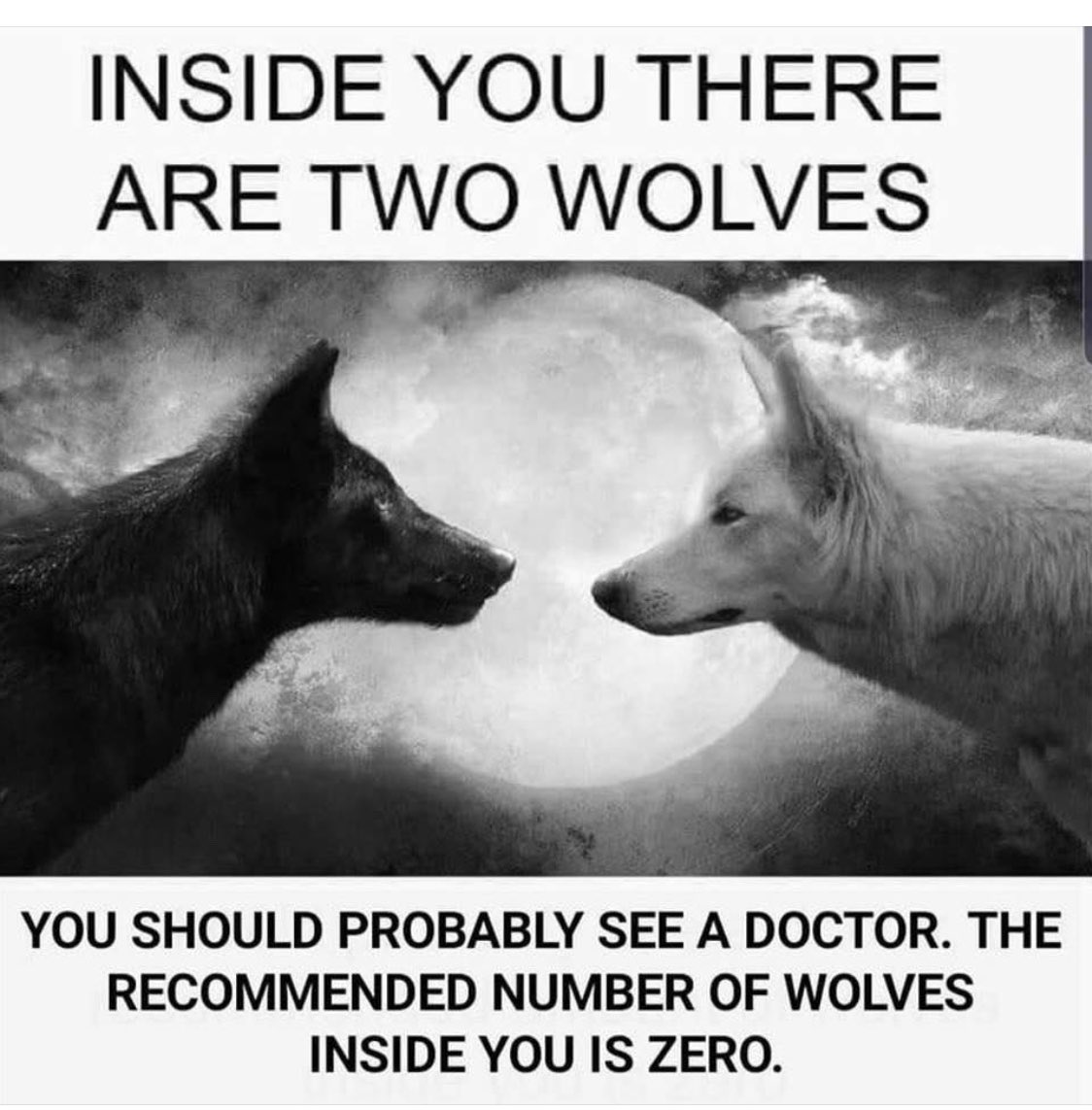 exstormtrooper's tweet image. #TwoWolves