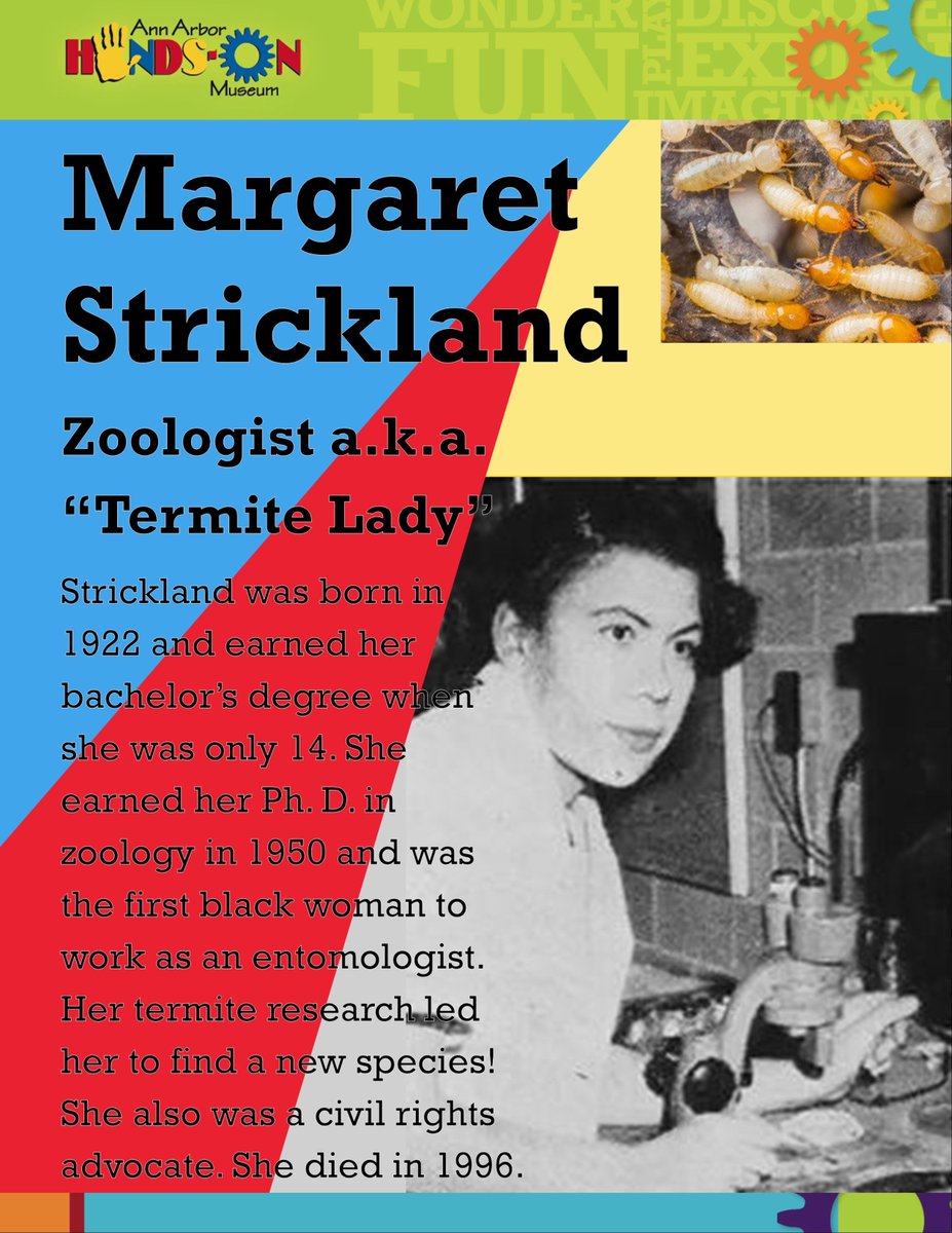 Did you know that there are over 3,000 species of termites? Dr. Margaret Strickland did! She discovered a new species of termite, had a Ph. D. in Zoology, and was known as the "Termite Lady". #blackhistorymonth