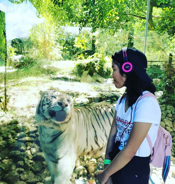 Cebu Safari & Adventure Park tweet media