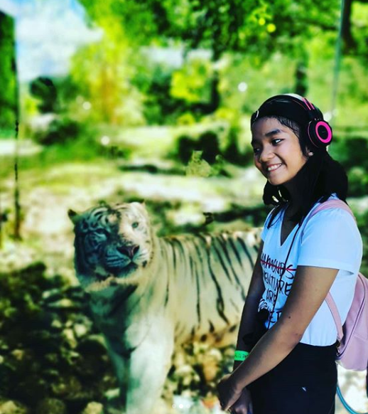 Cebu Safari & Adventure Park tweet media