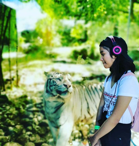Cebu Safari & Adventure Park tweet media