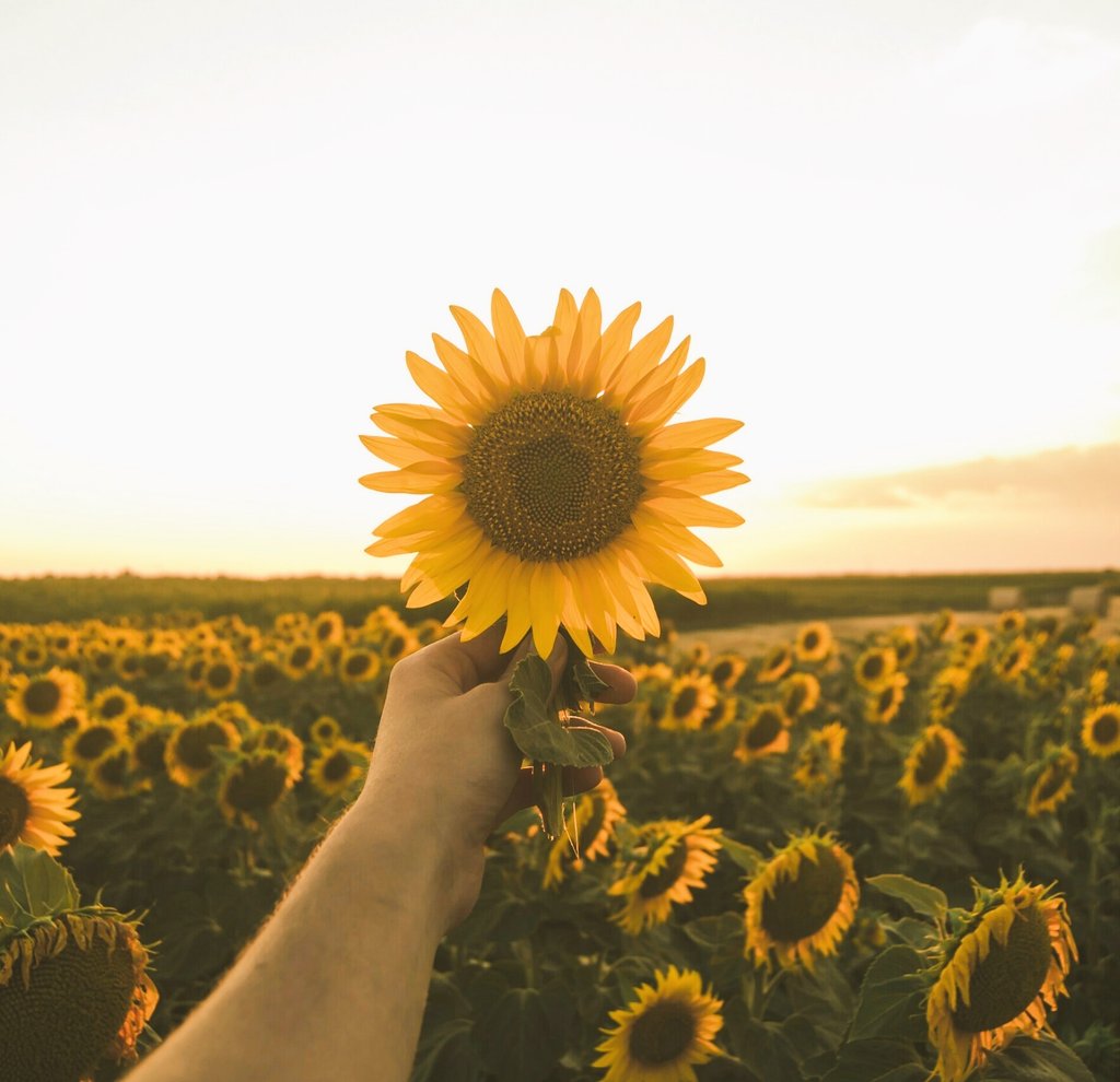 당신이 사랑받고 싶다면 사랑받을 만한 가치가 있는 사랑이 되어라.
 
- 오비디우스

bit.ly/39NSlNr