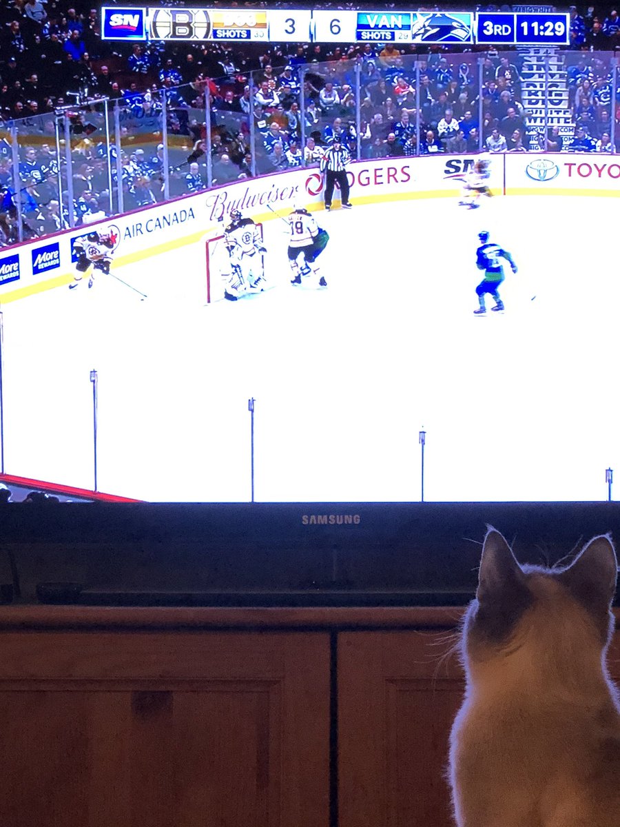 Laura Lowther tweet media