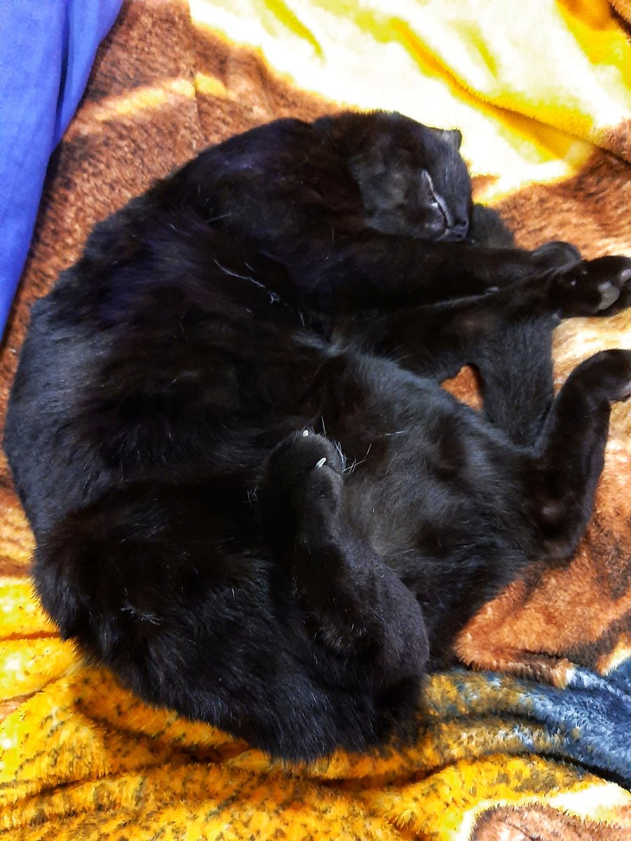 Que vas a hacer el sábado por la noche...
Yo: